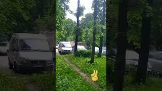 золотые слова. #подпишись #тульскаяобласть