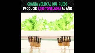 GRANJA VERTICAL MASIVA QUE  PUEDE PRODUCIR 1,000 TONELADAS DE PRODUCTOS  #curiosisimo #curioseando