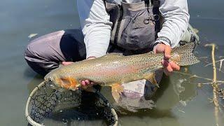 Guides Day Off — San Juan River