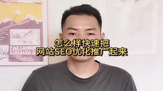 怎么样快速把网站SEO优化推广起来