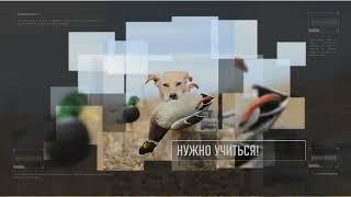 Духовой манок на утку: обучение