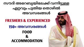 Gulf Jobs Malayalam December 2024|Job Vacancy in Saudi Arabia|Saudi Jobs Malayalam|Jobs in Saudi