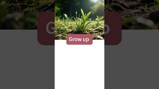 Useful Phrases"Grow up"  Coversations #english #vocabulary #phrases #learnenglish #englishspeaking