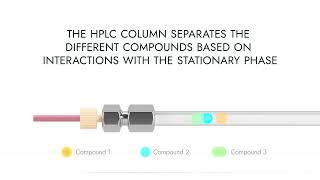 HPLC Analysis in a nutshell - How a sample is analyzed