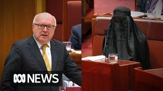 George Brandis slams Pauline Hanson for wearing a burka to Senate Question Time (2017) | ABC News