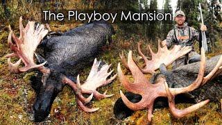 GIANT DROP TINE YUKON MOOSE! | Hunt from an abandoned trappers cabin called "The Playboy Mansion"