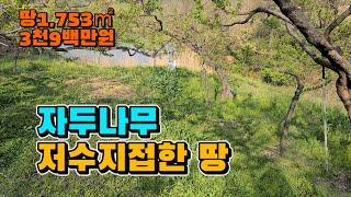 [매물 569] 자두밭, 저수지접한 땅,  삼면산으로 둘러쌓여진 아늑하고 조용한곳에 위치한 소형 저수지 접한 자두밭, 의성주말농장, 의성 자두밭 . ㅣ 군위 새동산부동산