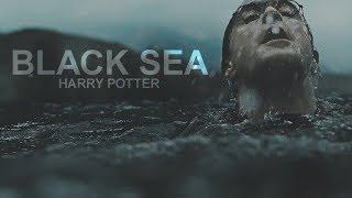 Harry Potter || Black Sea