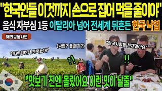 [해외감동사연] "낙엽 주워 먹는 한국인들?" 음식 자부심 1등 이탈리아를 뒤흔든 한국 낙엽에 전 세계도 충격