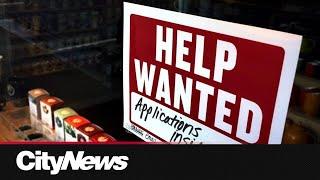 Business Report: What does Canada's unemployment rate mean?