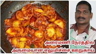 அரைமணி நேரத்தில் அருமையான எலுமிச்சை  ஊறுகாய் | Homemade lemon Pickle | Balaji's Kitchen