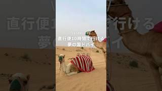 直行便で10時間でいける海外ドバイ #旅行 #海外旅行 #ドバイ #newt