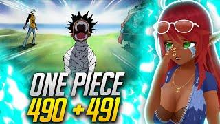 MY POOR LUFFY!! | One Piece Episode 490/491 Reaction