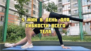 5 минут в день для гибкости всего тела