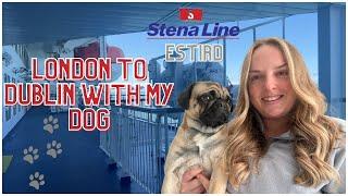 Travelling London to Dublin Rail & Sail with my Dog