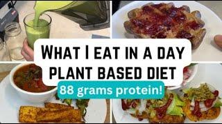 What I Eat in a Day: Plant-Based Diet (HIGH PROTEIN)