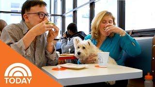 New York's First Dog-Friendly Cafe Is Finally Here! | TODAY