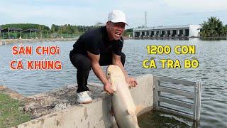 Hồ Câu Cá Tra Bò Siêu Khủng 1.200 Con || Bull Arena Fishing Park Bà Rịa || Chung Nguyễn Fishing