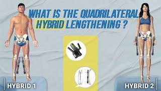 WHAT IS THE QUADRILATERAL HYBRID LENGTHENING?