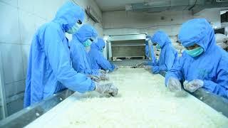 Gujarat Foods Dehydrated Onion and Garlic Process Video