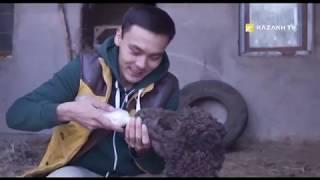 Saumal - white gold of Kazakhstan