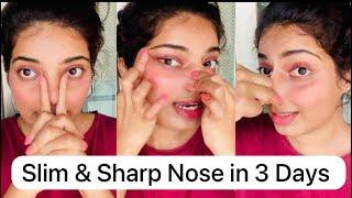 Slim & sharp nose in 3 days at home | Beauty’s crown