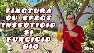 Tinctura cu efect insecticid și fungicid natural