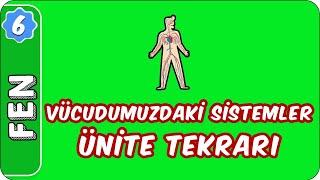 Vücudumuzdaki Sistemler  Ünite Tekrarı |  6. Sınıf Fen evokul Kampı