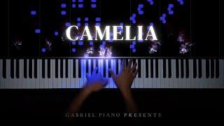 Camelia - Juan Arenosa (Piano Cover)