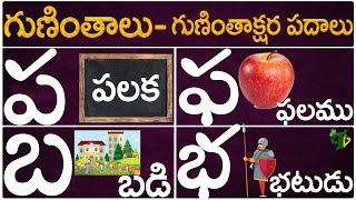 Guninthalu Guninthakshara Padalu | ప ఫ బ భ గుణింత పదాలు |Pa Pha Ba Bha Gunintha Padalu |Telugu Vanam