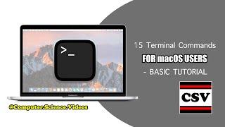 15 TERMINAL COMMANDS For Beginners, Programmers & macOS Users - Basic Tutorial