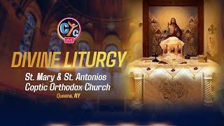 Live USA Divine Liturgy St. Mary and St. Antonios Coptic Orthodox Church Queens, NY.