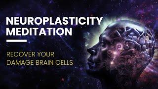 Neuro Enhancer | Memory Retention | Neuroplasticity Meditation | Recover Your Damage Brain Cells