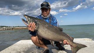 CHINOOK SALMON FISHING | Port Hope Ontario