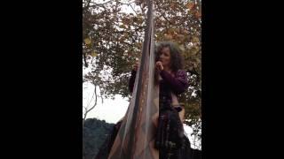 Bonfire at Samhain - Harp Music from the book of Anon