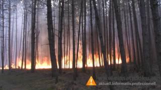 01082013 Waldbrand im Föhrenwald NK Tag1