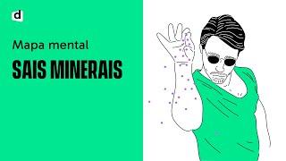 SAIS MINERAIS | Biologia | Quer Que Desenhe | Descomplica