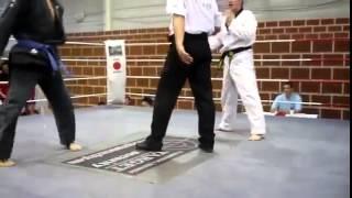 Taekwondo Vs Jiu Jitsu