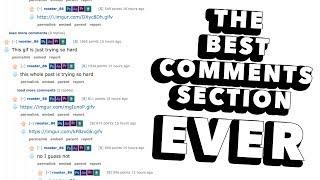 The Best Comments Section Ever