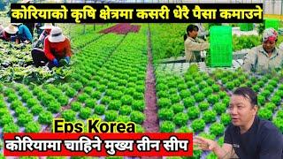 कोरियामा चाहिने मुख्य तीन शीप | Agriculture Worker In South Korea | Agriculture worker in korea