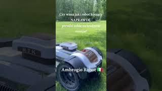 Czy wiesz, jaki robot poradzi sobie na trudnym terenie? Ambrogio Robot!
