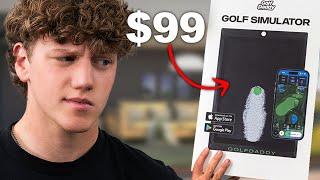 I Tested The $99 Golf Simulator (Is it TOO cheap?)