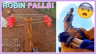 Robin jumps big!...And falls off | GoPro