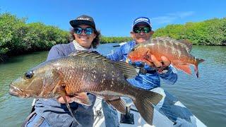 Pesca en Manglares INFESTADOS de Pargos y Robalos en Sinaloa!