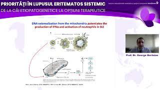 PRIORITĂȚI ÎN LUPUSUL ERITEMATOS SISTEMIC