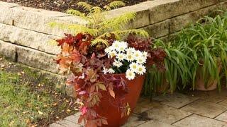 Perennial Container Gardens