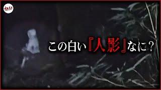 【心霊】これ霊？何？…「あんなとこに人がいるわけがない」─宮崎心霊スペシャル─