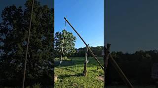 На хуторе у Печек лавочек #vlog  #влог #дача #печкилавочки #семейныйвлог #природа #хутор #дуб