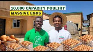 Tour of A Massive Poultry Farm with Its Young Manager – You Won’t Believe What We Found