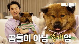 어느날 찾아온 똥개들의 새로운 가족 등장?!ㅣNew family to the mutt dogs?!